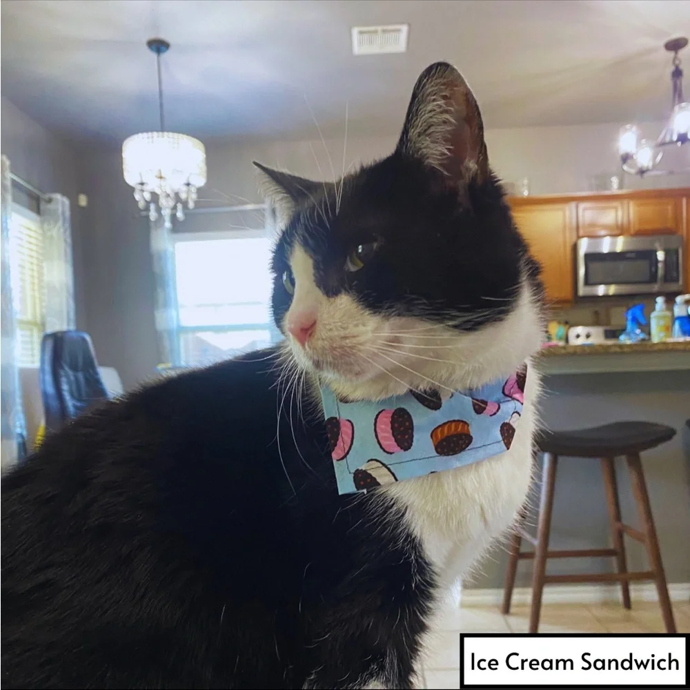 Handmade Cat or Small Dog Bandana NEW